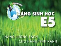 Xăng E5 – Những điều cần biết